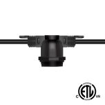 100' Non-Suspended String Lights - Decorative LED Bulbs