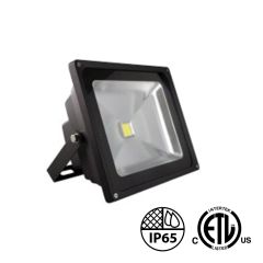 30W LED Outdoor Floodlight  - LED Outdoor Floodlights