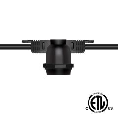 50' Non-Suspended String Lights - Decorative LED Bulbs